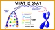 مولکول DNA چیست؟