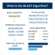 الگوریتم blast