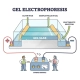 اصول کلی روش الکتروفورز Electrophoresis