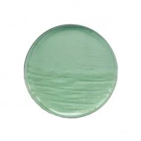 آناروبیک آگار anaerobic agar