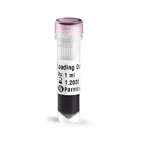 لودینگ دو رنگ DNA (6X)