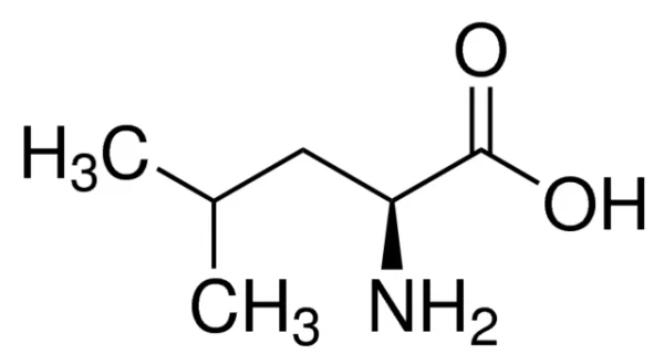 اسید آمینه ال لوسین L8912