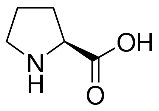 اسید آمینه ال پرولین P5607