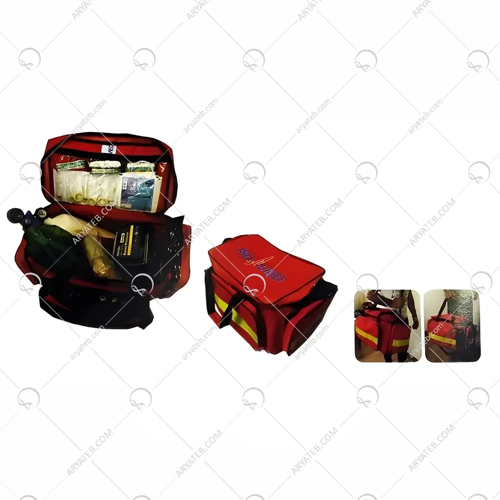 کیف احیا برزنتی NF-FK01