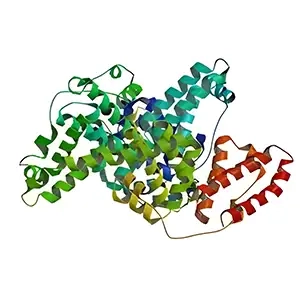 پروتئین آلبومین گاوی BSA