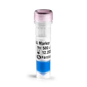 لدر DNA 100 bp