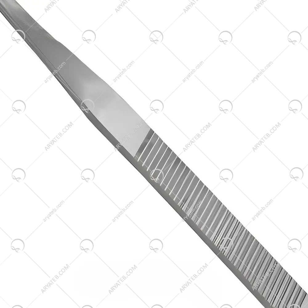 استوتوم لترال
