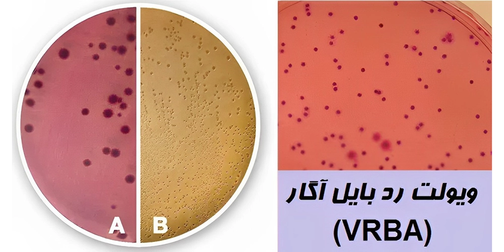 محیط کشت vrb