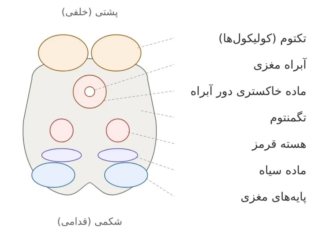 میانی3