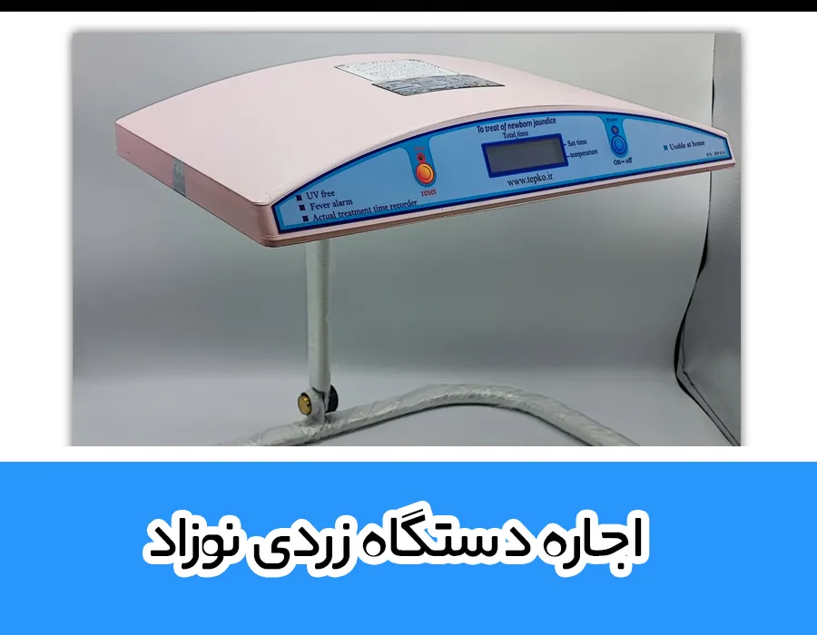 جدول زردی نوزاد