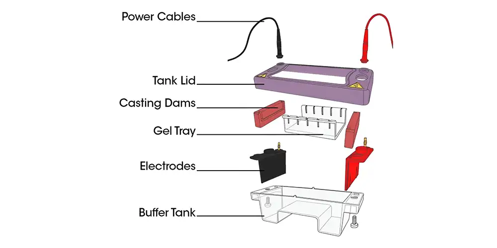 اصول کلی روش الکتروفورز Electrophoresis