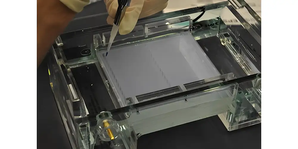 اصول کلی روش الکتروفورز Electrophoresis