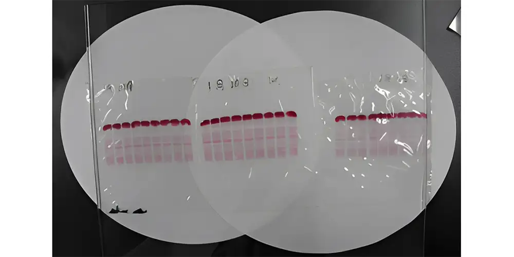 اصول کلی روش الکتروفورز Electrophoresis
