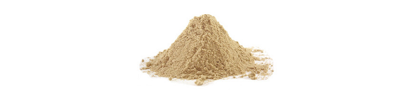 محیط کشت سویا پپتون soya peptone