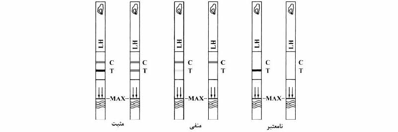 کیت تخمک گذاری و پسردار شدن