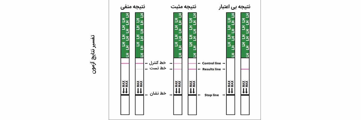 تفسیر کیت تخمک گذاری