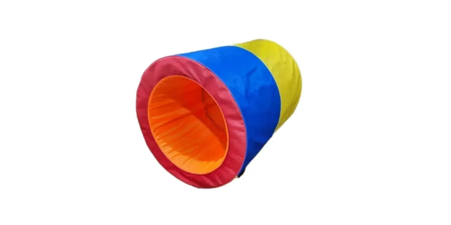 استوانه سنسوری